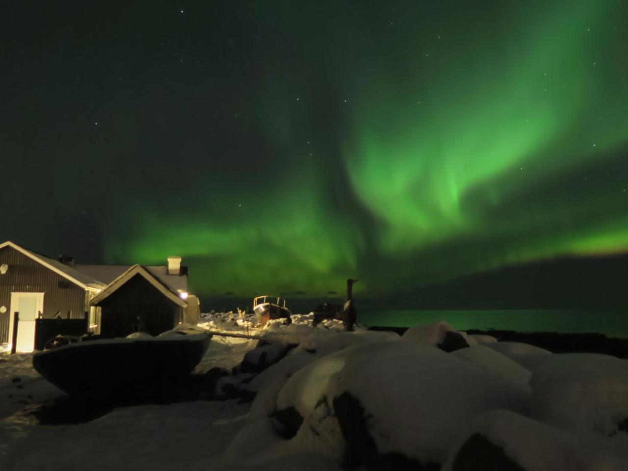 Hlid Fisherman'S Village Alftanes Экстерьер фото